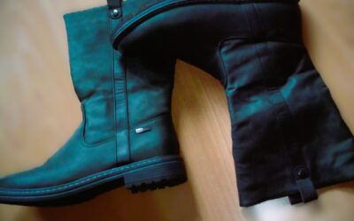 „Die verhängnisvollen Stiefel“ – W.M. Thackeray (19. Jhd.)