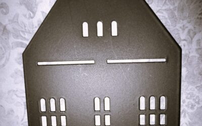 „Die Tantenburg“ – Roman für Jugendliche (1874)