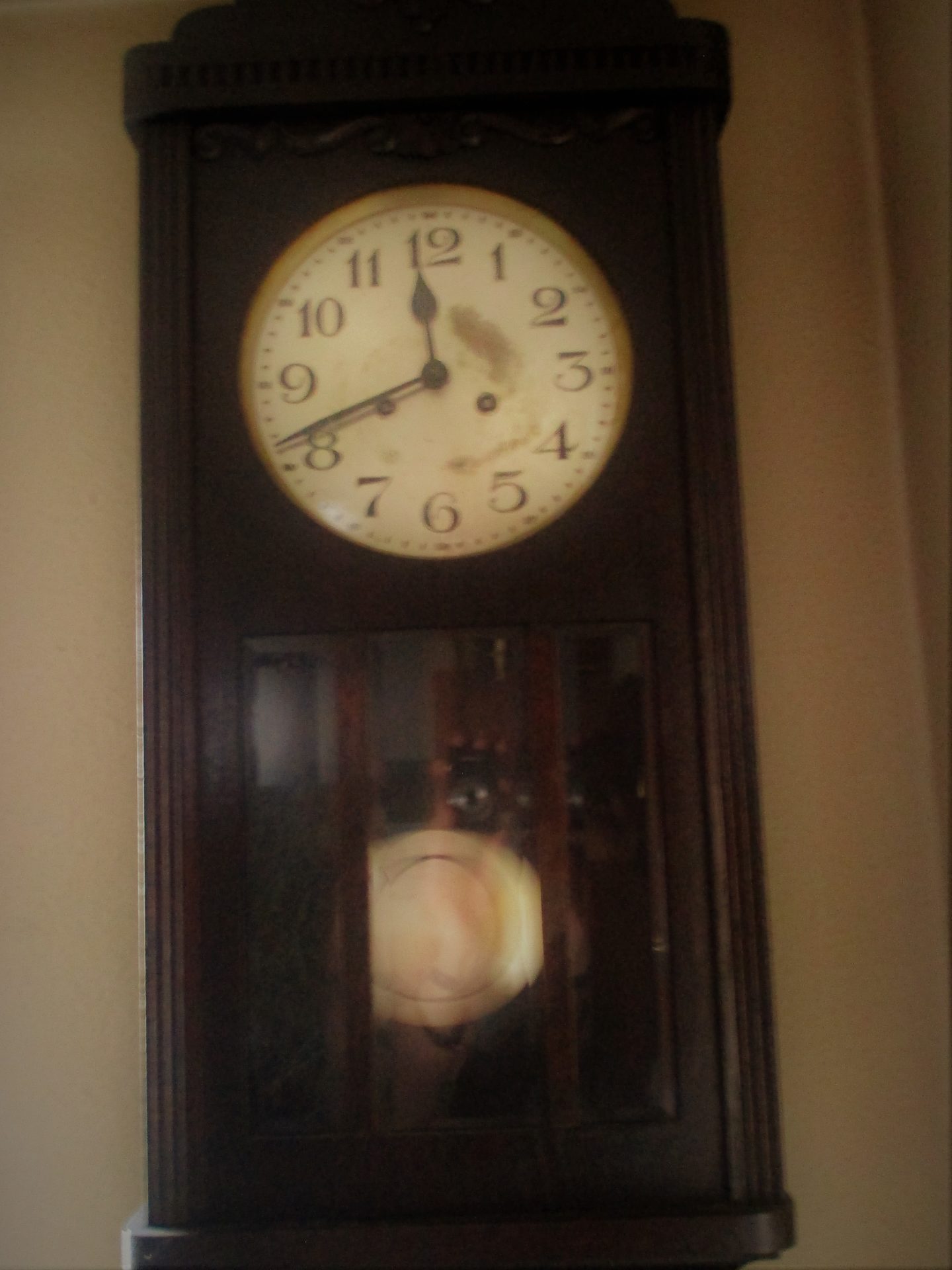 IMG_0583 (2) Der Raritätenladen