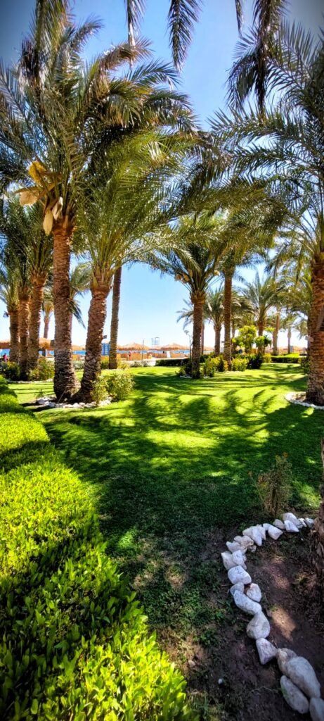 Mehr Mut als Kleider im Gepäck