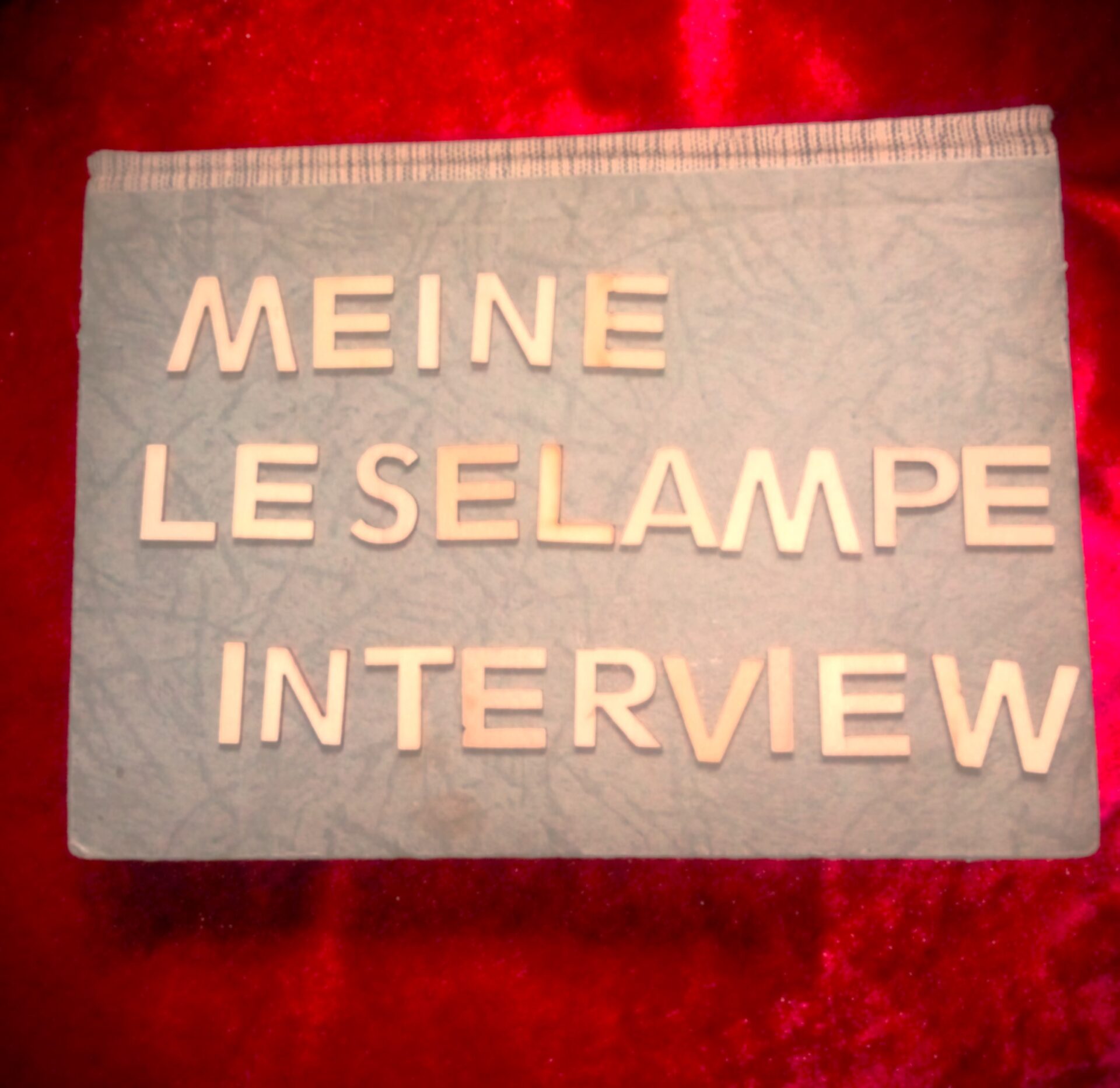 interlamp Ben und der Literatur-Podcast Dailyklappentext / Evelina