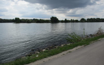 „Die Kickleburys am Rhein“ (1850)