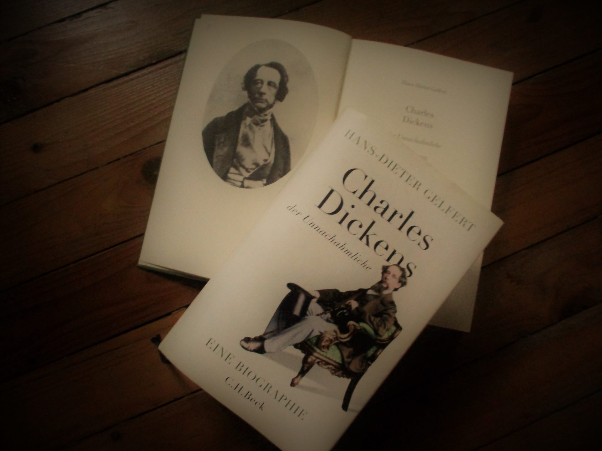 Hans-Dieter Gelfert: Charles Dickens....