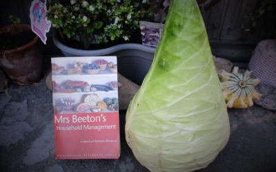 “Cabbage Soup” – Mrs. Beeton (1859-1861)