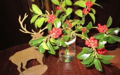 Frohe Adventszeit! Mit Th. Storm (2.12.2021)