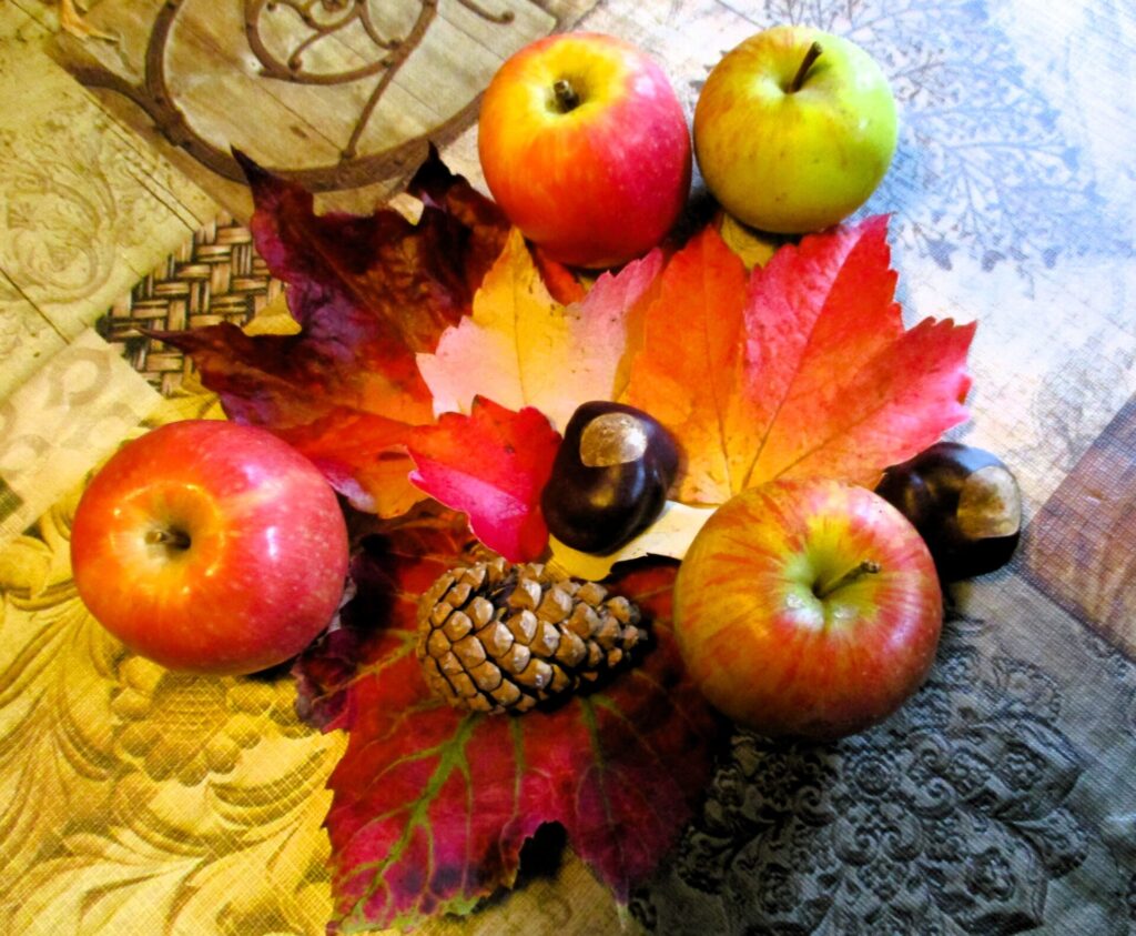 Herbst-/Winter-Entrümpelung auf Meine Leselampe (2024)